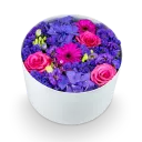 Box fialových květin